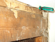 Termite Damage